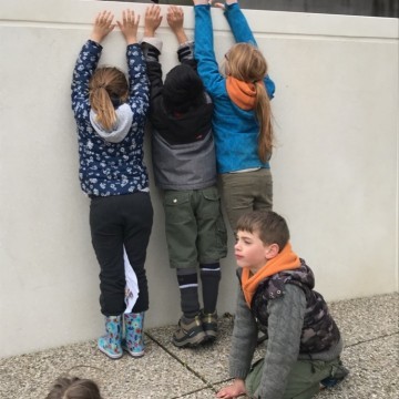Iphone 8 06 2019 465 - Scouts en Gidsen Zaventem 